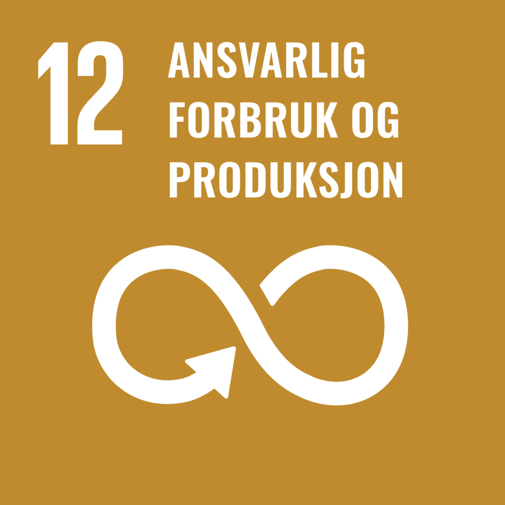 12: Ansvarlig forbruk og produksjon